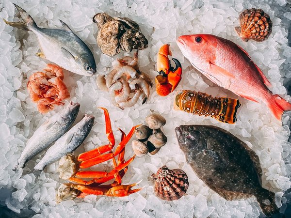 Comment manger les fruits de mer ?