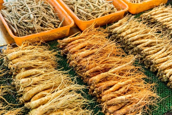 L'incroyable Ginseng Rouge : un trésor de vitalité et de bien-être